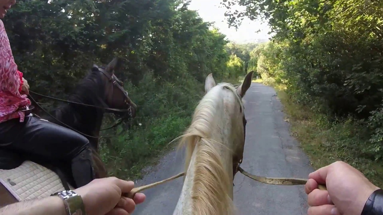 Escursione a cavallo