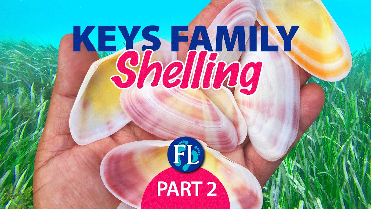 Part 2 of 2: Underwater Shelling Florida Keys Adventure