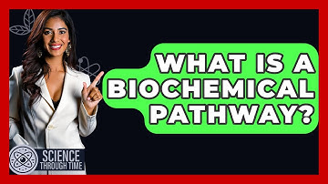 What Is A Biochemical Pathway? - Science Through Time