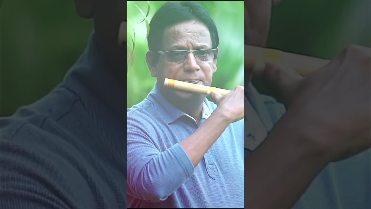 Sundari Kannaal Oru Sethi Flute  Johnson   shorts
