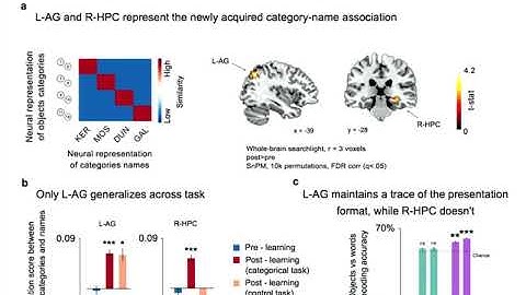 OHBM 2018 | Oral Session | Simone Vigan | On learning new objects and their names: how symbolic ca…