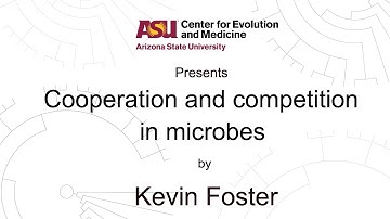 Cooperation and competition in microbes | Kevin Foster