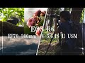 【EOSR6】RAW(DNG)配布・作例 | EF70-300mm f4-5.6 IS Ⅱ USM