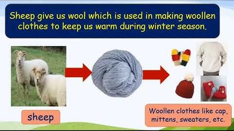 Class - II EVS USEFUL ANIMALS