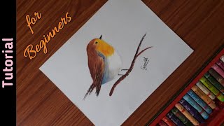 step bird oil robin easy painting beginners pastel