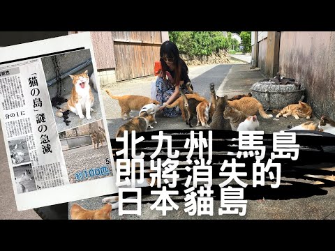 即將消失的日本貓島馬島 The Disappearing Japanese Cat Island Umashima Travel Vlog 1 Youtube 即將消失的日本貓島馬島 The Disappearing Japanese Cat Island Umashima Travel Vlog 1 Youtube