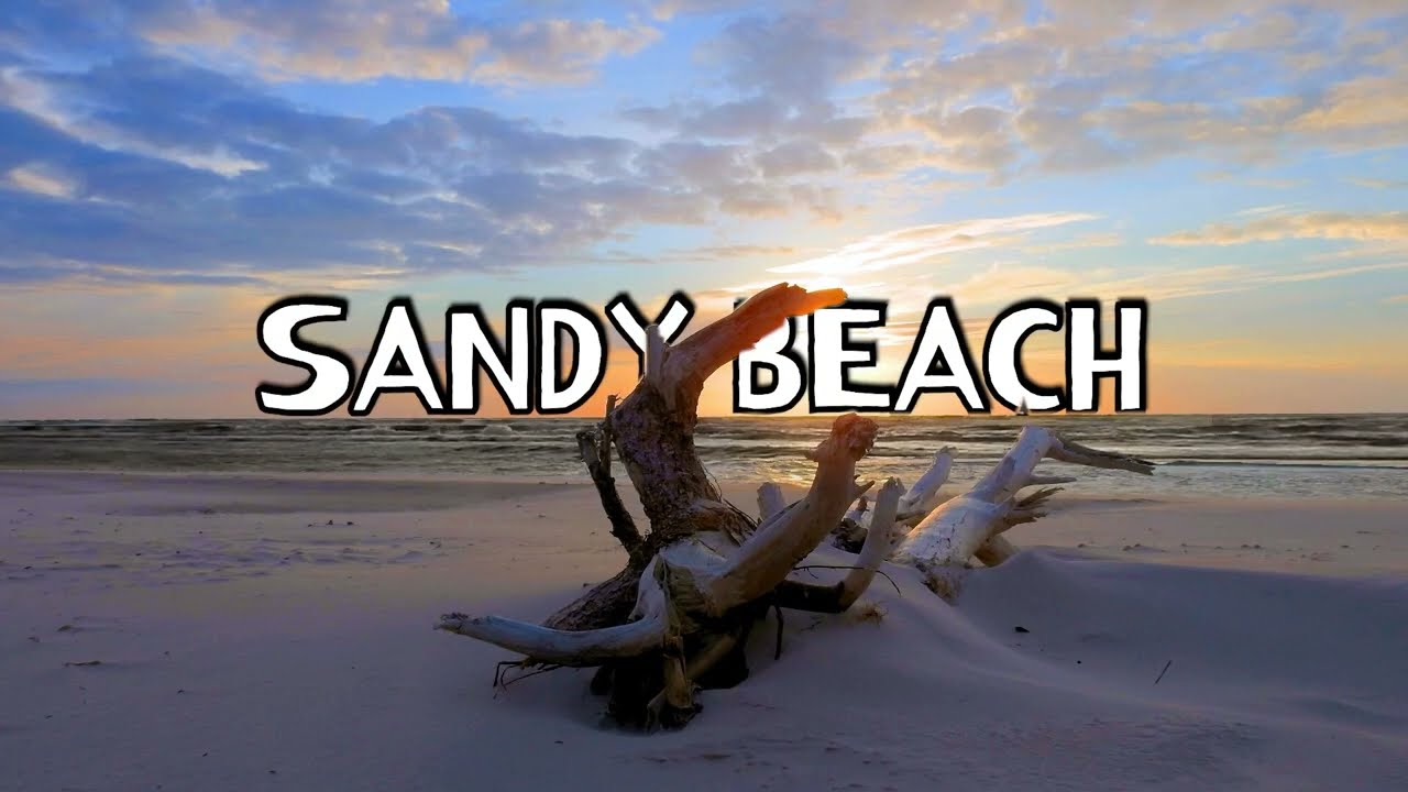 Text Animation Exercise