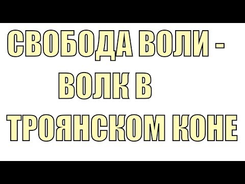 Почему вы уверены что вы СВОБОДНЫ