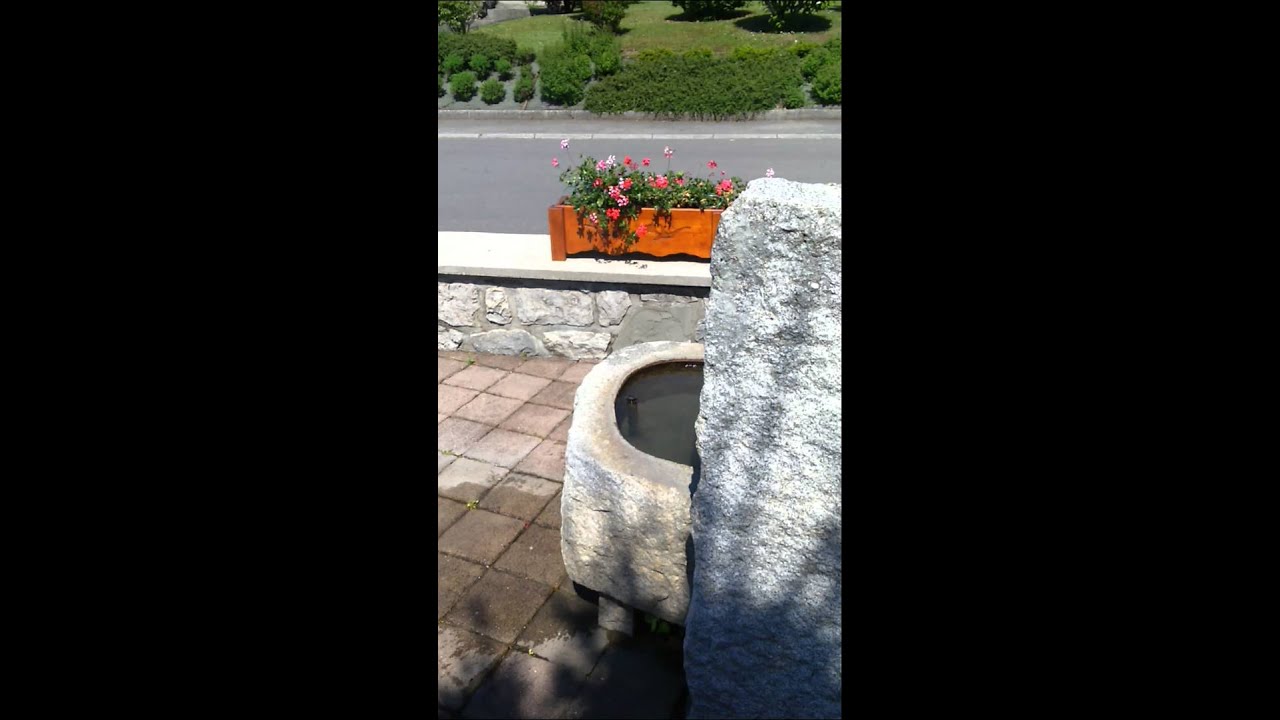 Petard bison 5 + tube en métal