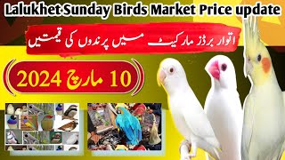 Lalukhet Sunday Birds Market 10 March 2024 price update | Lalukhet birds Open Market Price update