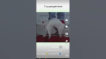 طاقه الكهرو قطوسيه 
