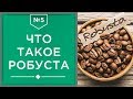 Робуста | Что такое кофе робуста, ее минусы и плюсы☕