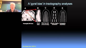 David Van Essen - The Human Connectome Project