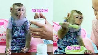 Monkey Lyly got angry and stopped eating when her mother didn't use her bowl