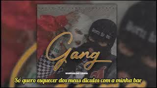 https://www.mediafire.com/file/8razntd7zgs78gg/Nurivaldo Leiria - Gang.mp3/file