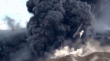 How Trees Get Petrified