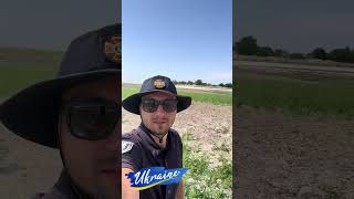 Дно Каховського водосховища заростає травою. #shorts