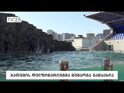 ბათუმის დელფინარიუმმა მუშაობა განაახლა