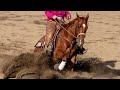 Sold - RJ Cat From Tokyo - 2018 Gelding For Sale