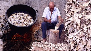 SOAP WITH ROOTS. Traditional use of the boiled root of a plant to wash clothes | Documentary film