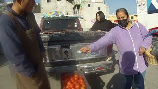 Amarga Navidad por el alto costo para producir alimentos en el campo.