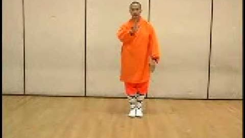 Butterfly Kick in Shaolin Kung Fu