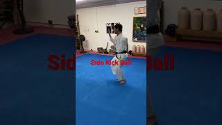 Isshinryu Karate Basic Kicks - Trent Loos, 4th Dan, Okinawa Budo Kai Dojo, Livonia MI.