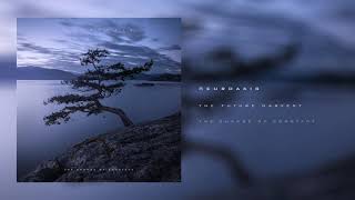 NeuroAxis - The Future Harvest