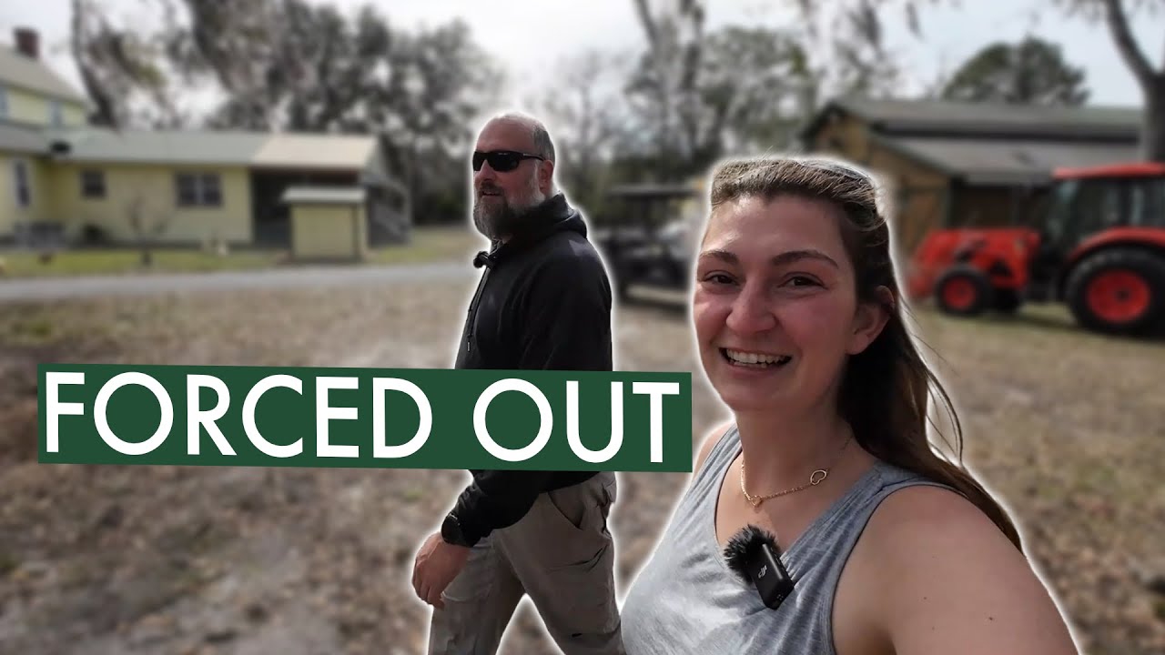 Автор, ставший фермером, ВЫНУЖДЕН был переместить свою ферму (усадьба Бернал)