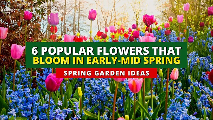 6 Popular Flowers That Bloom in Early - Mid Spring 🌻🌿🍃 - DayDayNews