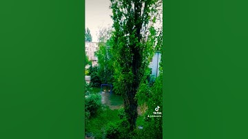 عبيدة الكردي سورة يوسف #عبيدةموفق #عبيدة_الكردي #سورة_يوسف #عبيدة_موفق_سورة_يوسف
