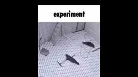 Eliminating Outliers for More Interesting Data Analysis!