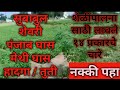 14 प्रकार का Bakri ka Chara/ green fooder in goat farming/ Chara vyavasthapan
