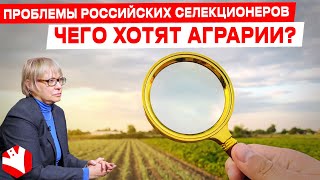 Чего хотят аграрии? | Проблемы российских селекционеров | Растениеводство | КУЛЬТИВАТОР