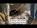 Ručni sakupljač oraha, kestena, šljive, marelice