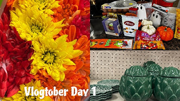 SHOPPING FOR MY TRADER JOE’S +TARGET/WALMART FINDS