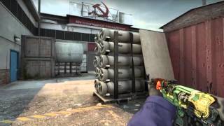Cache ACE [ESEA]