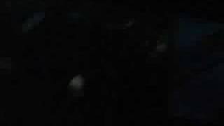 20080229