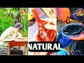 Making a Royal Comb from Red Sandalwood | Traditional Handcrafted Process Step by Step#traditional