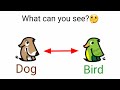 What can you see first in this video, a Dog or a Bird?