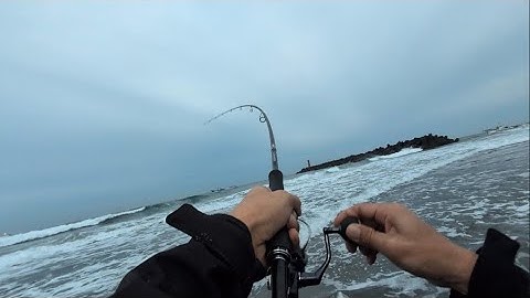 浜名湖今切口鳥山が凄い事に…そしてルアーを投げてみたら🐟️【浜名湖遠州サーフ】🎣