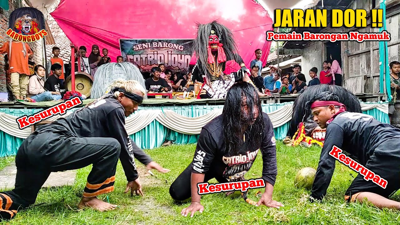 Atraksi JARAN DOR !! Pemain Barongan Kesurupan Ngamuk Ngejar Orang | Satrio Joyo Bugel | BarongBoys