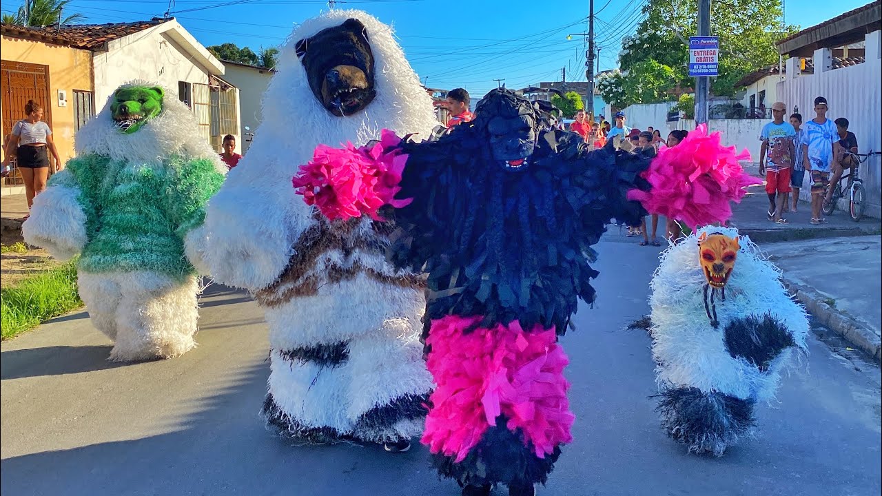Ala Ursa Acorda Várzea Nova - Carnaval Fora de Época