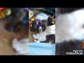 うちのワンちゃん私の足、舐めすぎで、ふやけそうです。
