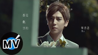 畢書盡 Bii - 都是你害的 All You Did (官方版MV) - 華劇「我的極品男友」片尾曲