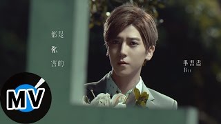 畢書盡 Bii - 都是你害的 All You Did (官方版MV) - 華劇「我的極品男友」片尾曲