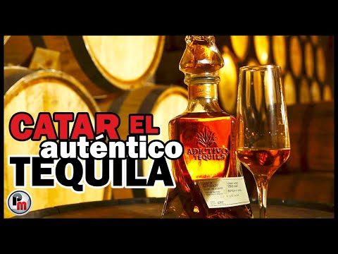 Catar el auténtico tequila, una experiencia de historias y para los sentidos