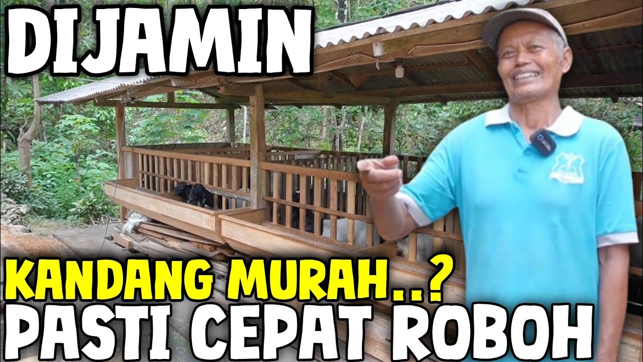 12 TAHUN ANTI ROBOH‼️ KUALITAS BUKAN KALENG KALENG