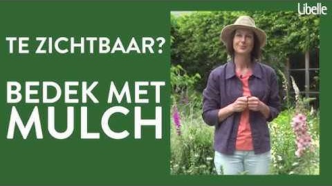 Hoe help je je tuin de droogte door? (ism Libelle)