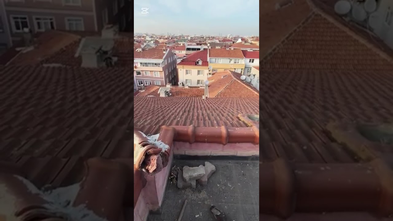 Kaçak güvercin yakalama videomuz 23.02.2026
